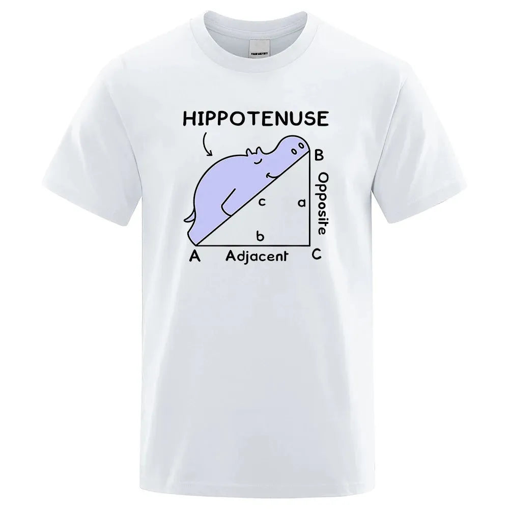 Men's loose fit cotton t-shirt with hippotenuse opposite adjacent math joke print in grey.