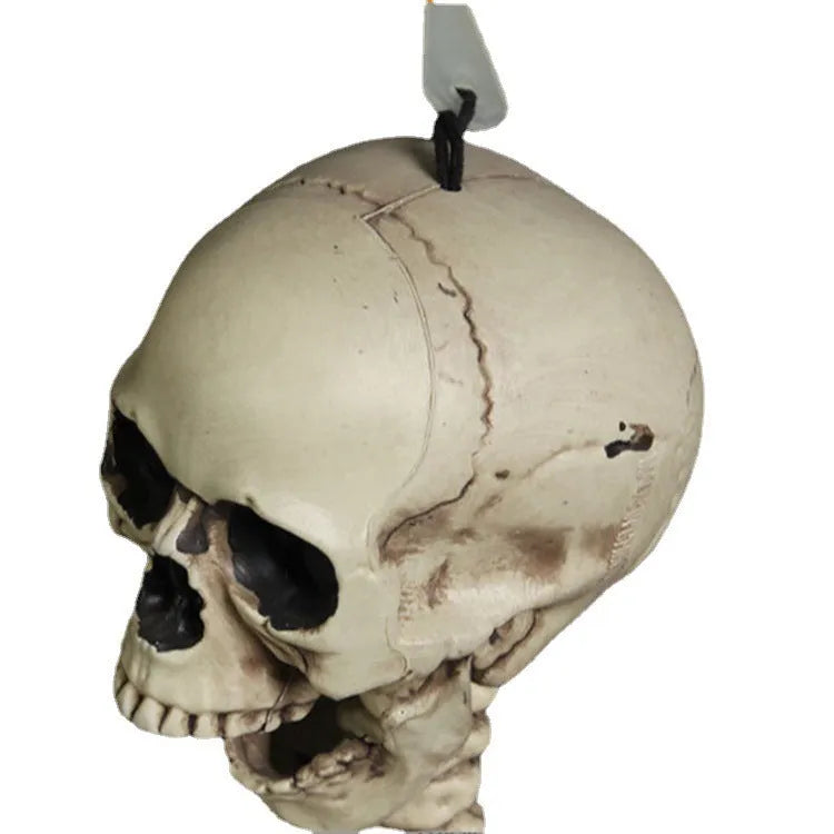 170cm tall plastic skeleton prop with detailed bone structure and movable jaw