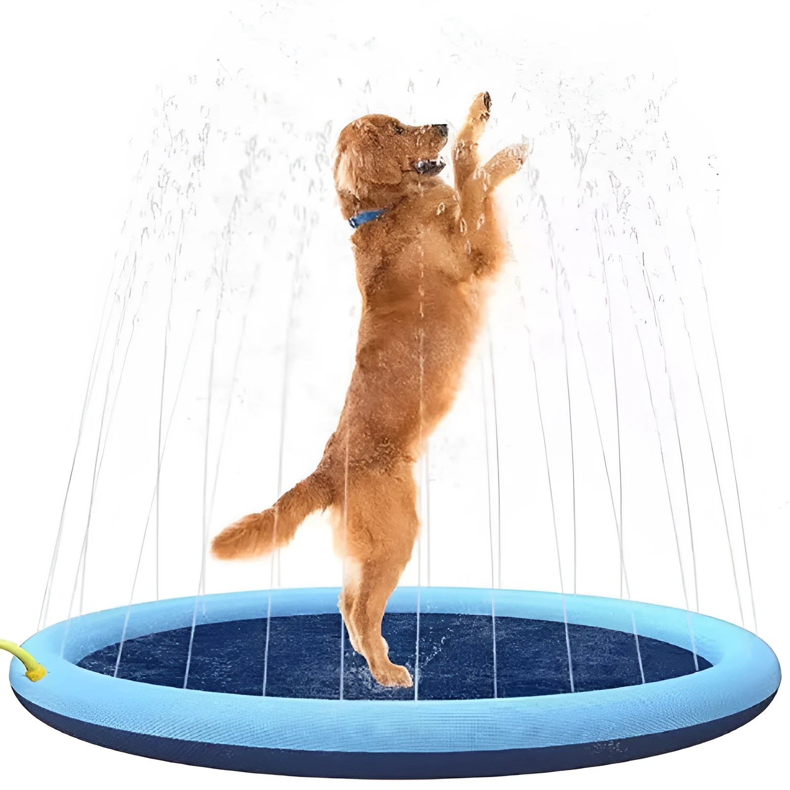 Blue circular dog splash pad on grass, 150 cm diameter, with water sprinkling from its surface.