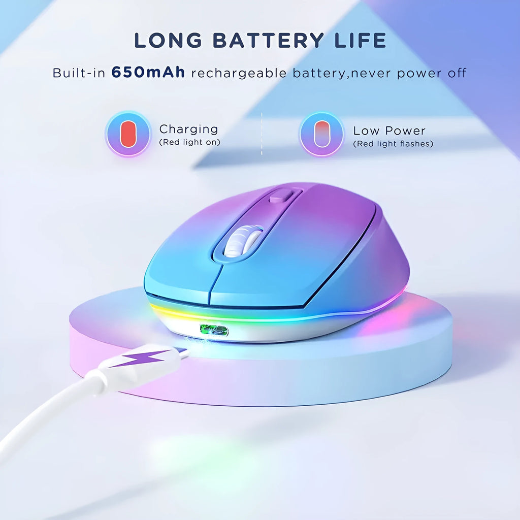 24g wireless ergonomic mouse with USB charging cable in multiple colour options
