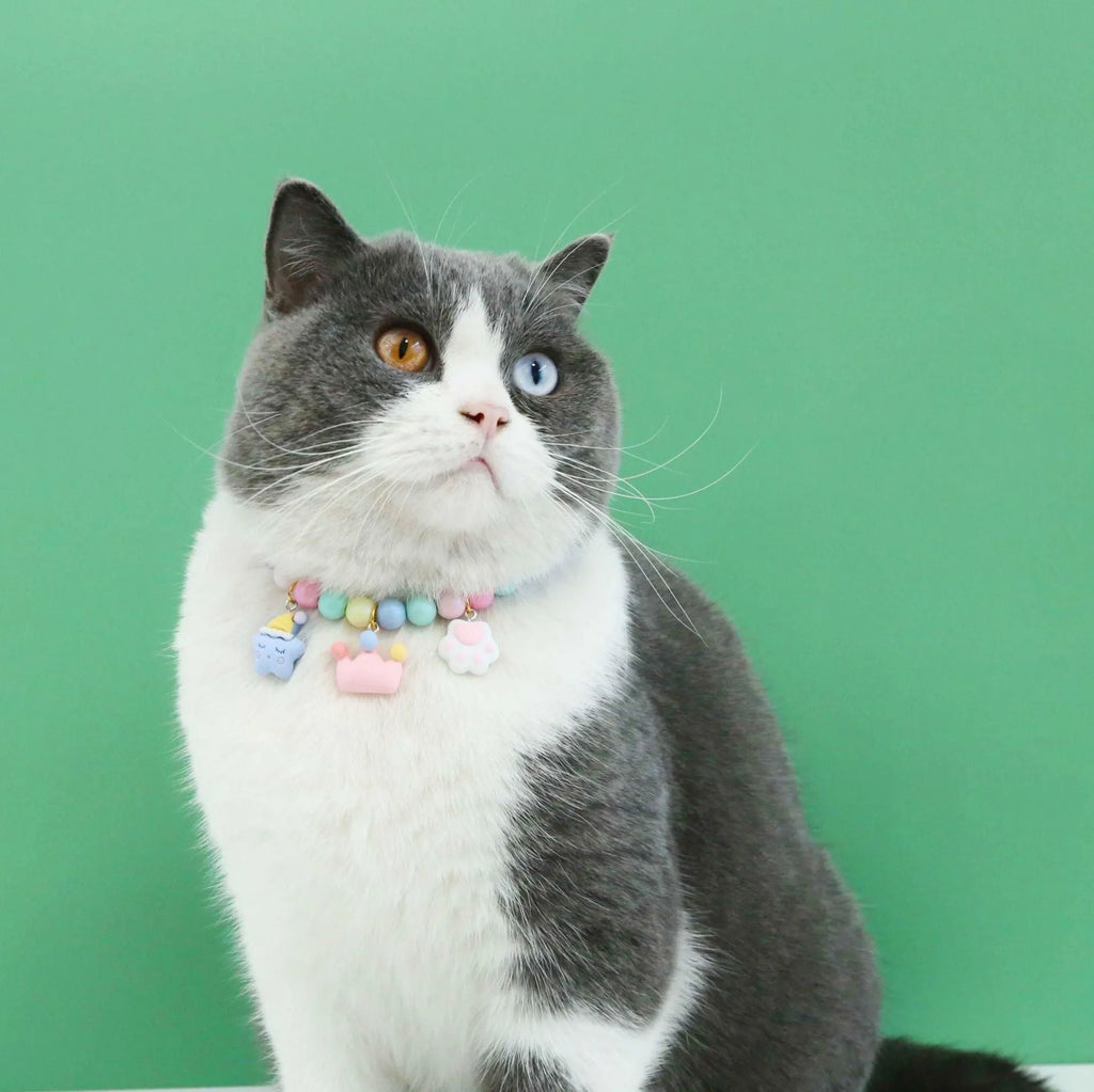 Macaron-colour pet collar with moon and pearl resin charms and a matching bracelet.
