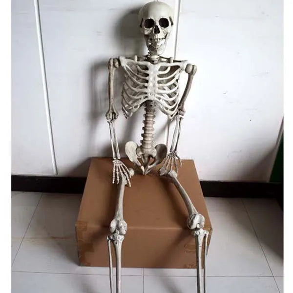 170cm tall plastic skeleton prop with detailed bone structure and movable jaw
