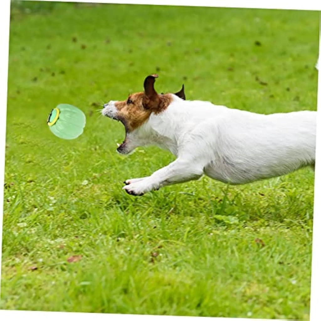 Plastic pumpkin-shaped dog ball with squeaker in green, orange and yellow for small dogs