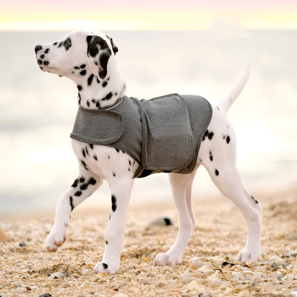 Heathered grey dog anxiety vest or thundershirt shown on a model, made from soft brocade cotton fabric.