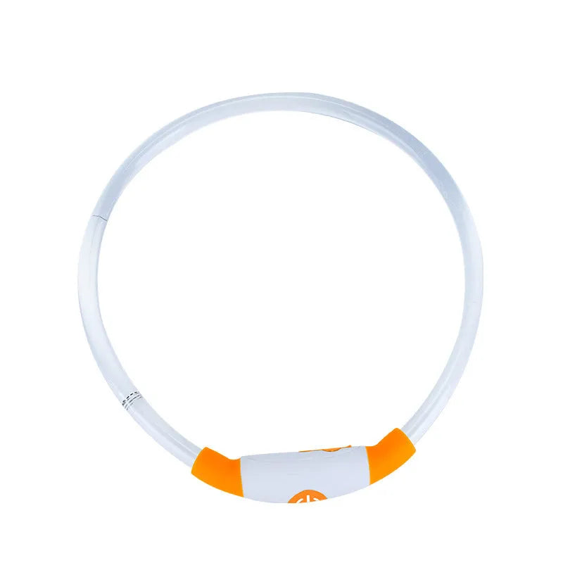 USB rechargeable LED dog collar glowing in dark with adjustable strap