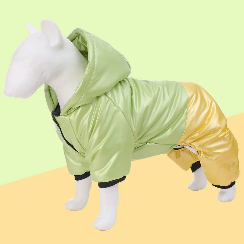 Green waterproof four-legged dog coat with cotton padding on small dog