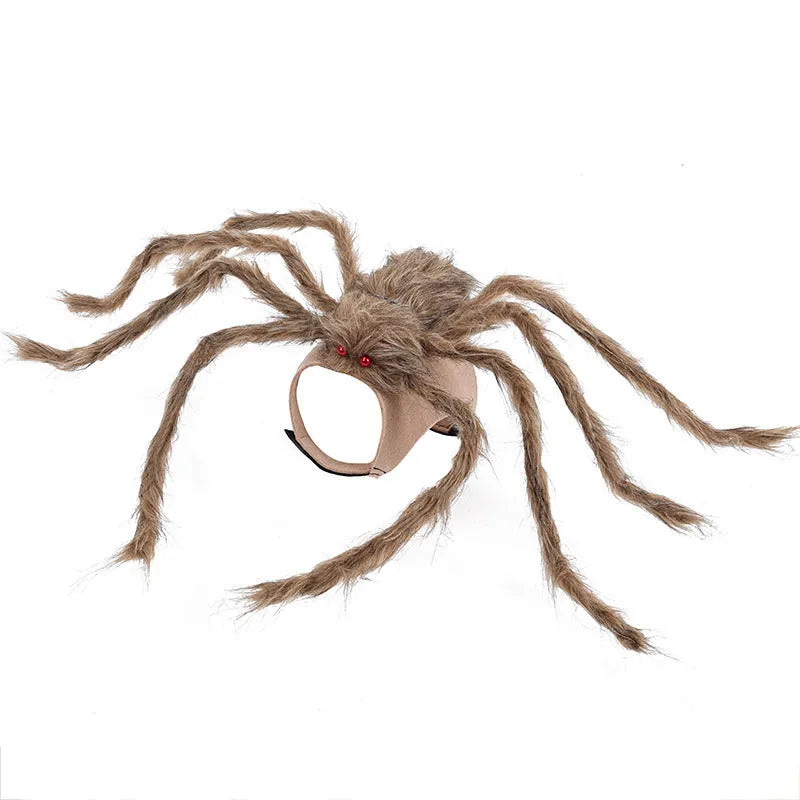 Grey Halloween spider costume for a small dog with eight legs