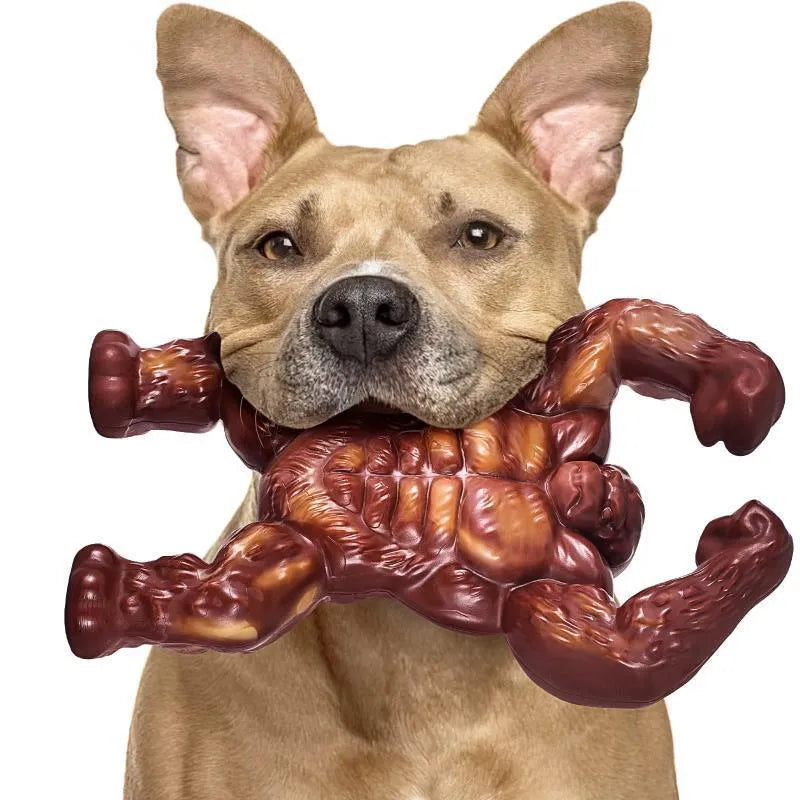 Scarlet red nylon dog chew toy with beef flavour and textured surface for molar nibbling