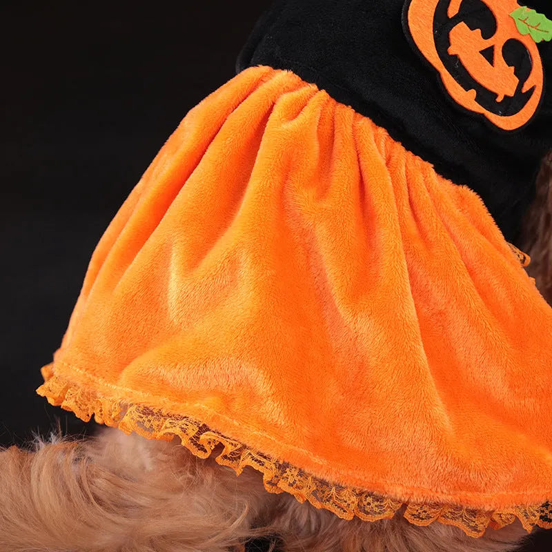 Halloween pumpkin skirt pet costume for small dog or cat in crystal velvet material