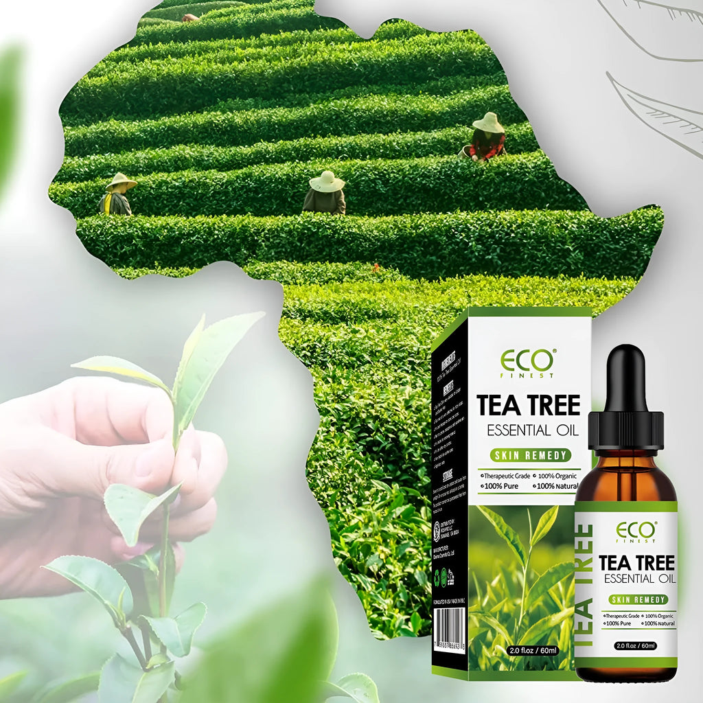 60ml bottle of tea tree essential oil for facial massage and skincare application
