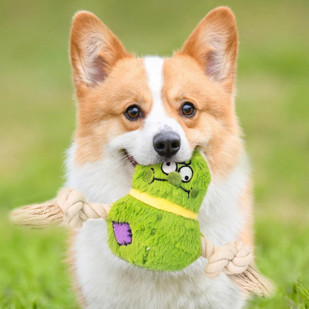 Green and purple plush rope knot dog toy with tug of war design for interactive play and dental care