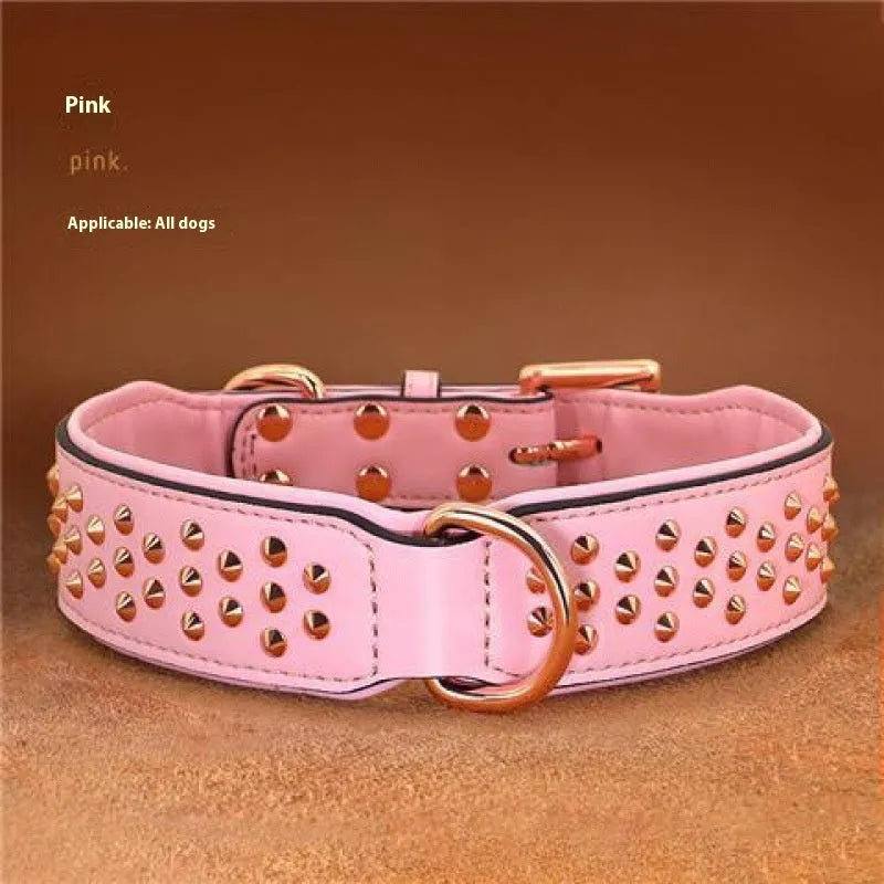 Leather dog collar with brass anti-bite rivets in black, shown with metal buckle.