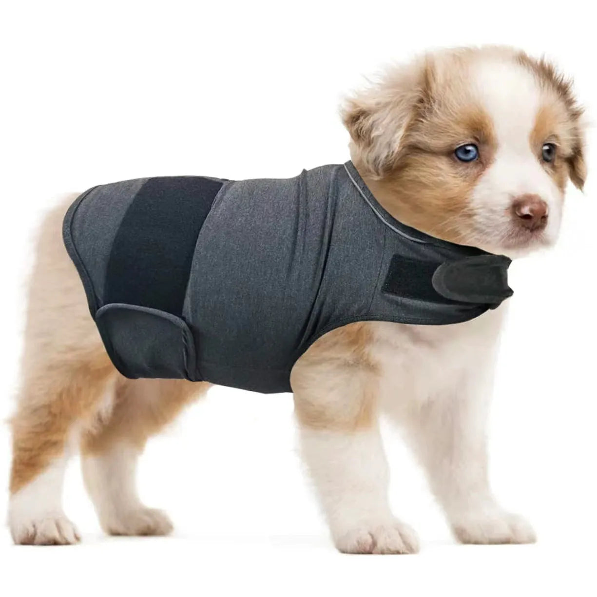 A dog wearing a soft cotton tank top for anxiety relief, shown in a choice of colours including brown, dark blue, dark green, and grey.