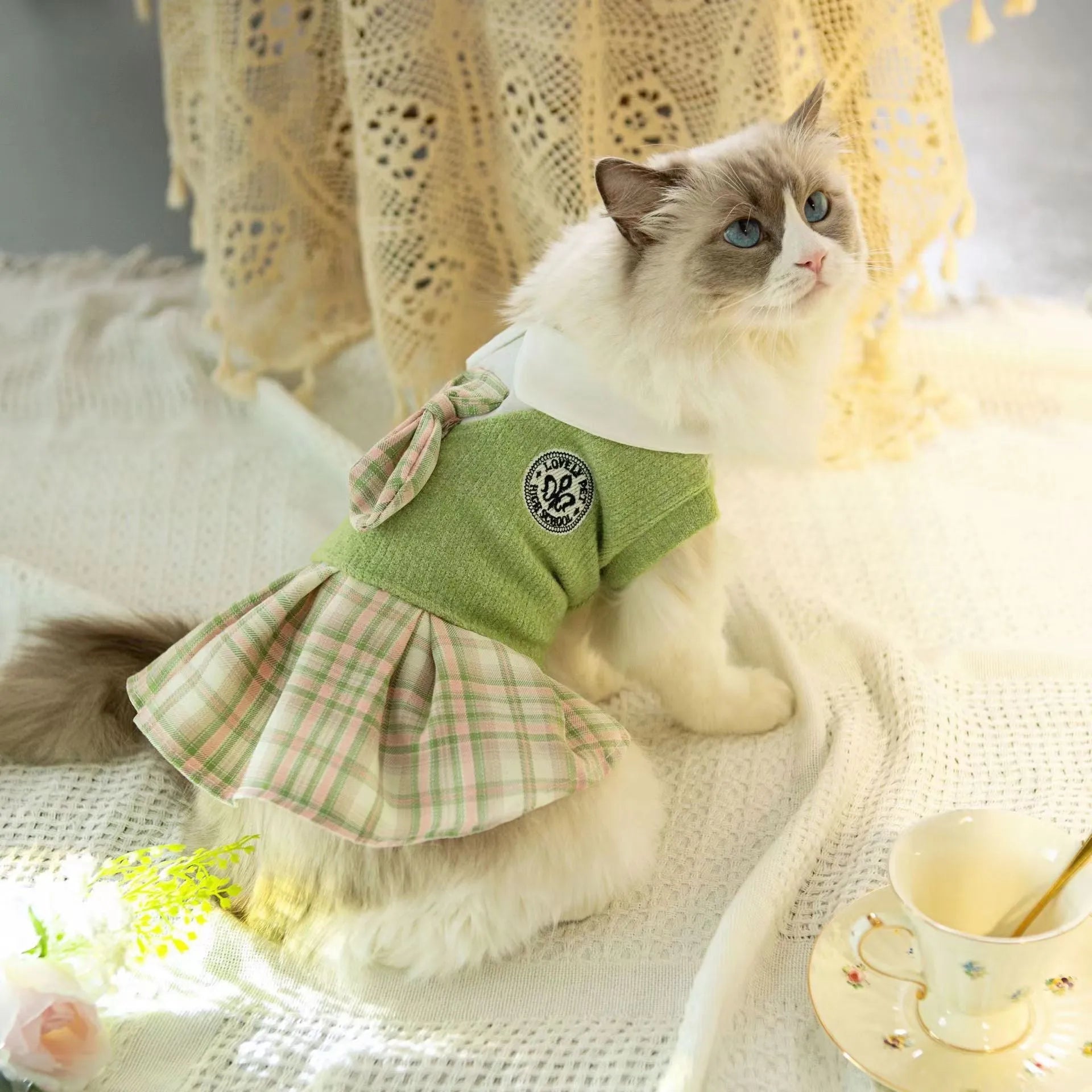 A small dog wearing a pink tartan plaid skirt in a Princess style.