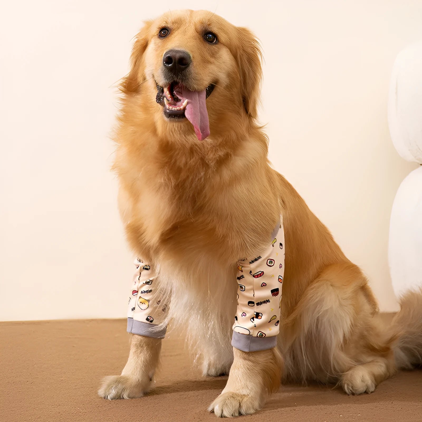 Adjustable dog knee protector with elbow padding and matching scarf in blue, grey or yellow colours