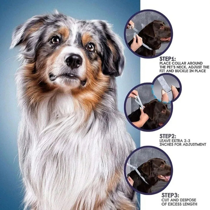 Rainbow plastic flea collar for pets showing 38cm cat size and 62cm dog size options