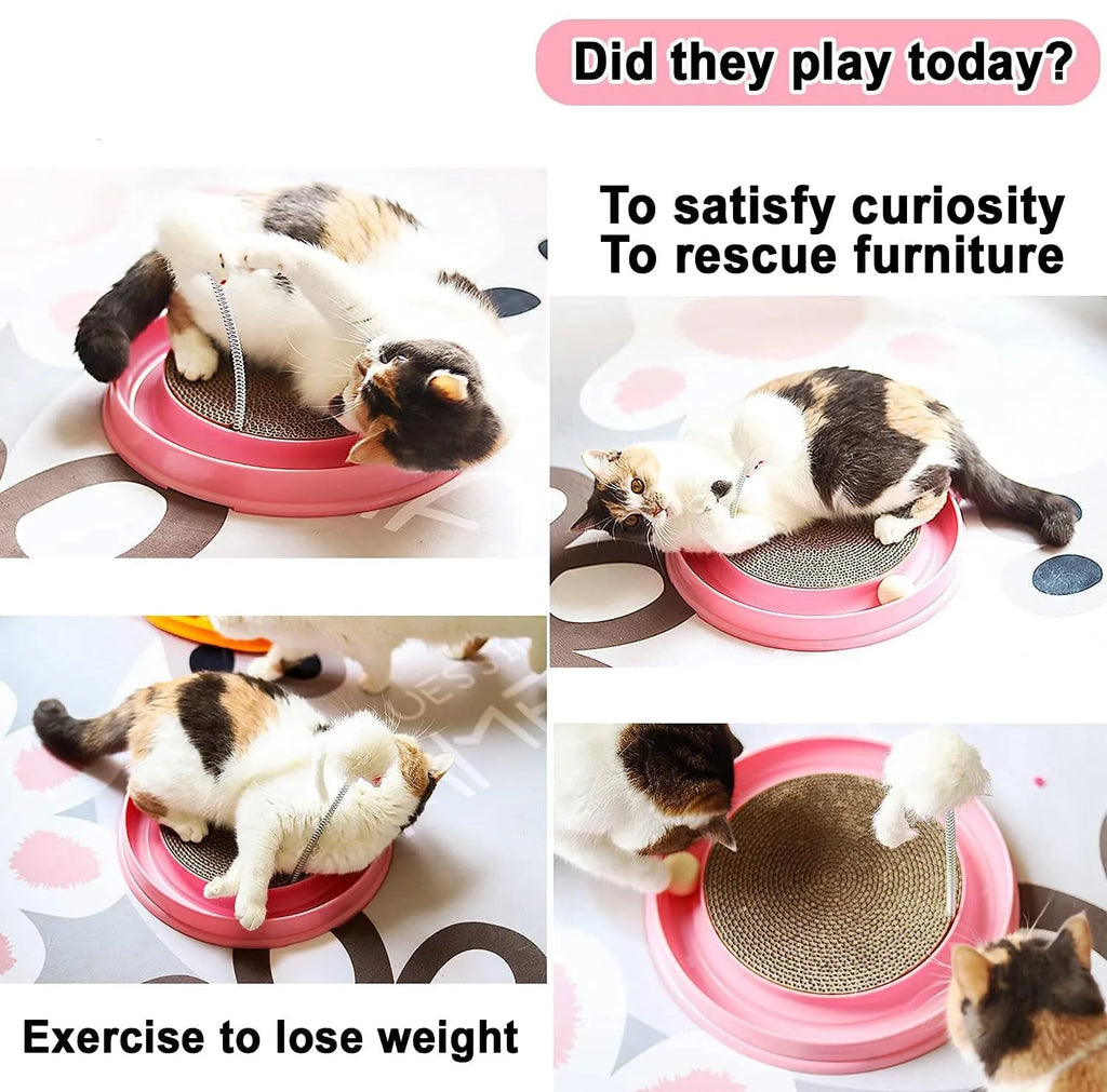 Blue cat scratcher toy with circular ball track and replaceable cardboard scratching surface