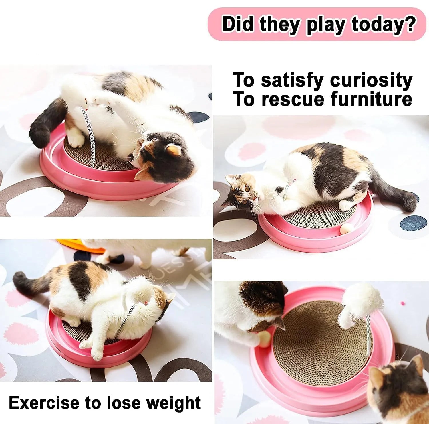 Blue cat scratcher toy with circular ball track and replaceable cardboard scratching surface