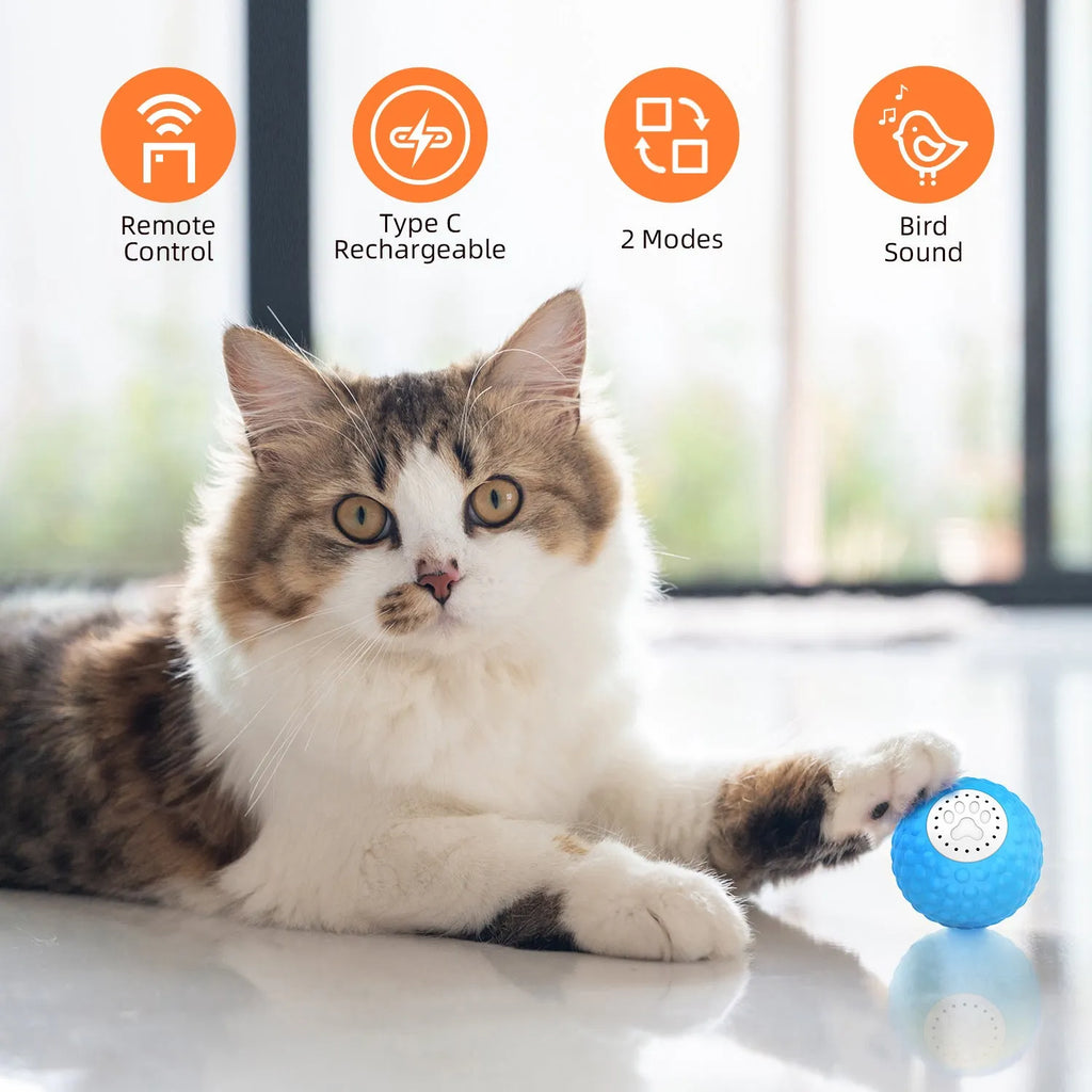 Remote control cat toy ball in blue, green or yellow colours with wireless controller