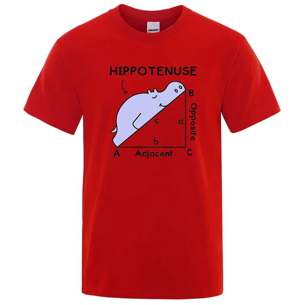 Men's loose fit cotton t-shirt with hippotenuse opposite adjacent math joke print in grey.
