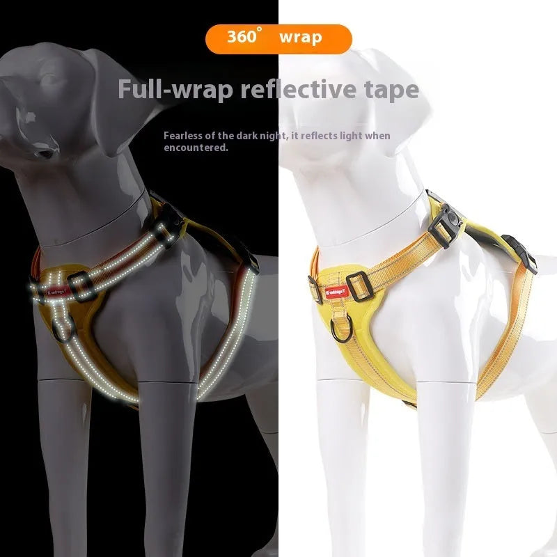 A dog harness and lead set in a choice of six colours, made from durable polyester with an adjustable chest strap.