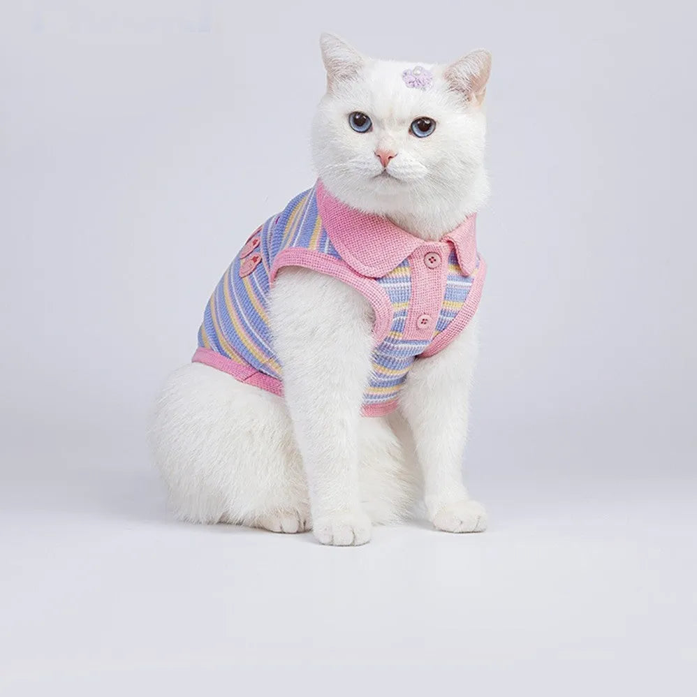 Pink purple vest for a small dog on a white background, showing the autumn clothing design.