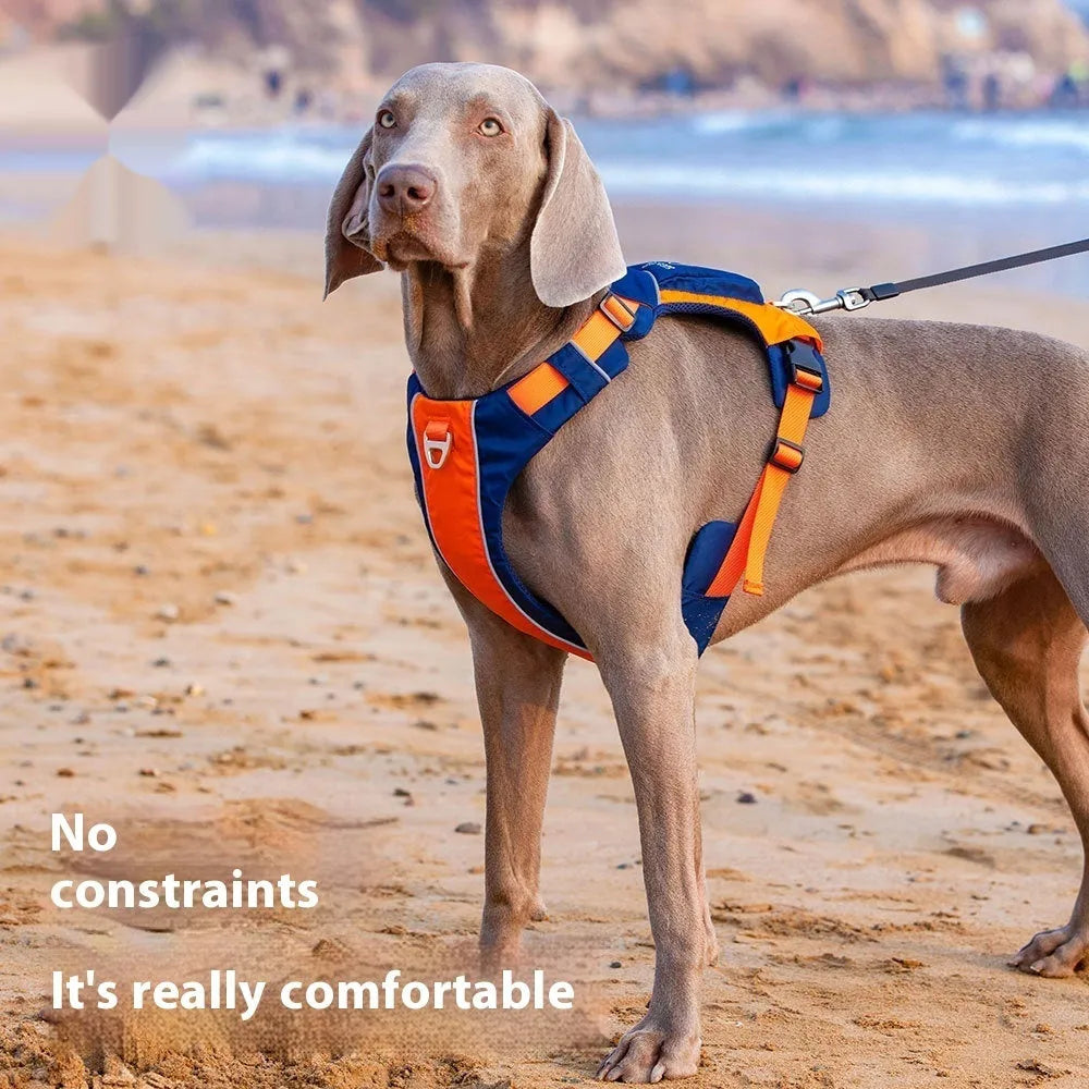 Adjustable dog chest strap vest with hand rope in orange blue colour, showing vest-style design