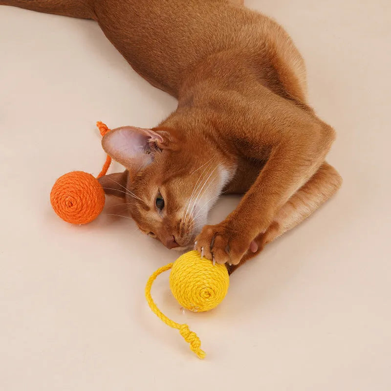 Set of three cat toys: a teaser stick, a catnip ball, and a self-play wand on a blue background.