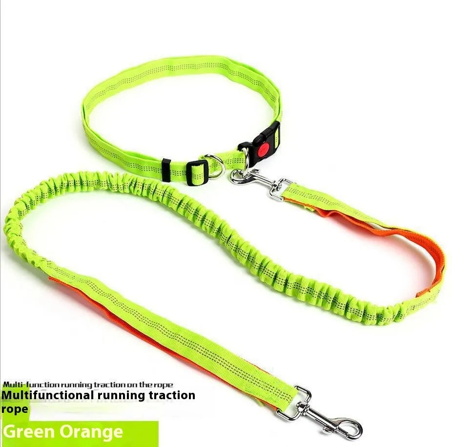 Grey and green two-tone reflective nylon dog leash showing 2.5cm width and clasp.