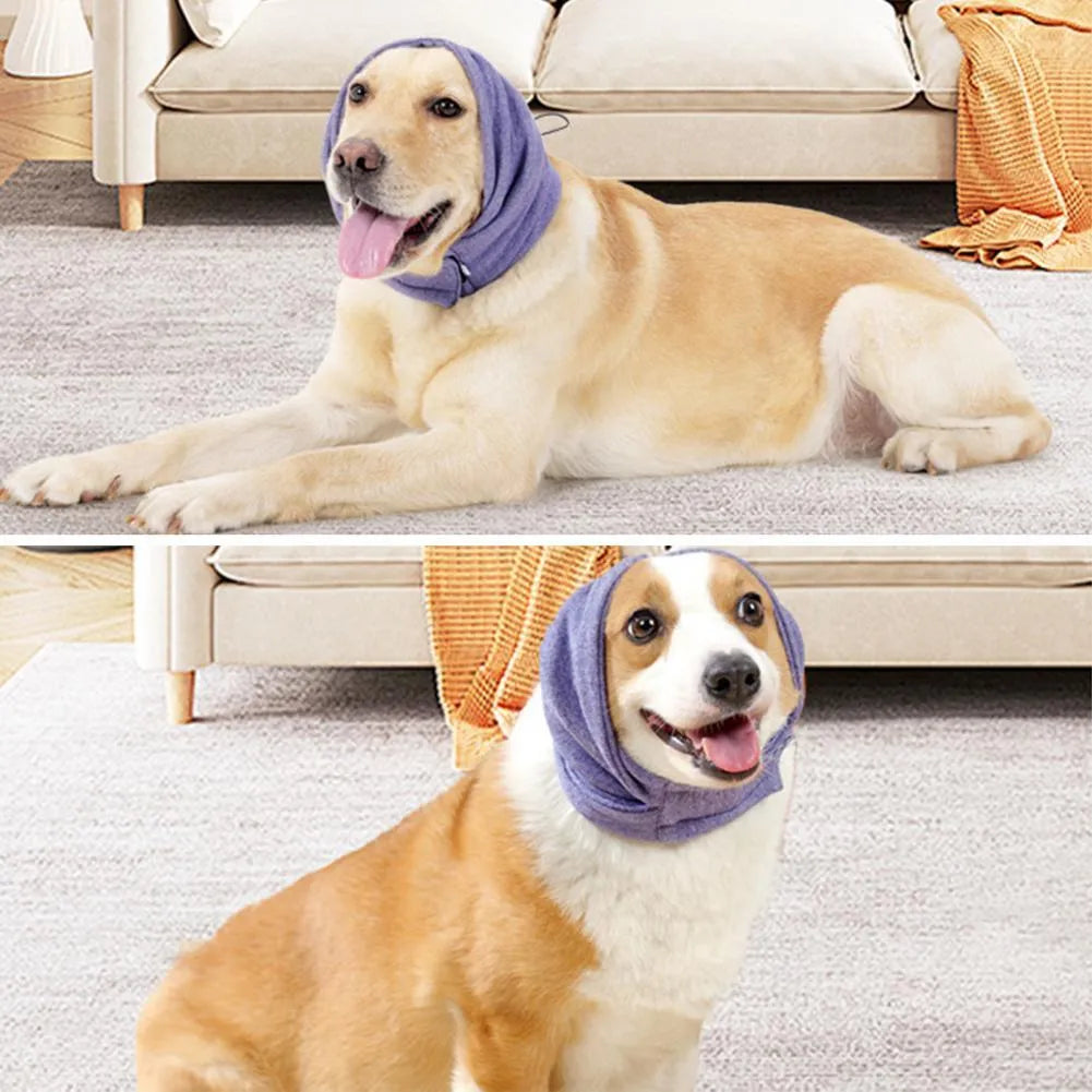 Black dog calming hoodie with ear wraps and closure, shown on a dog model
