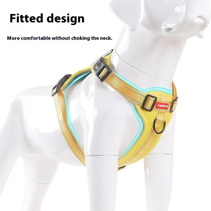 A dog harness and lead set in a choice of six colours, made from durable polyester with an adjustable chest strap.