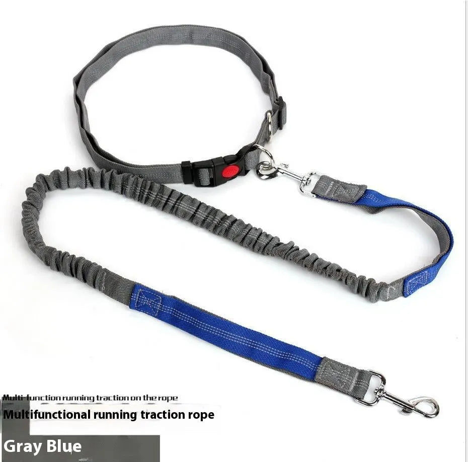 Grey and green two-tone reflective nylon dog leash showing 2.5cm width and clasp.