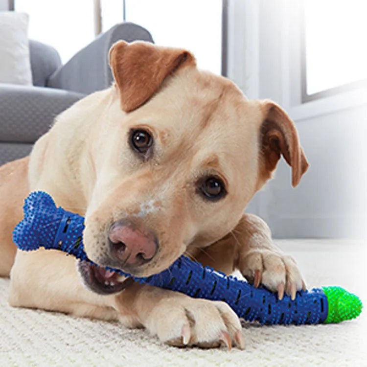 Blue green dog molar tooth cleaner with silicone brush head and massage nodules, 25cm long
