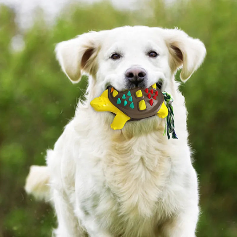 Natural rubber dog toothbrush chew toy with dinosaur knot tail in assorted colours