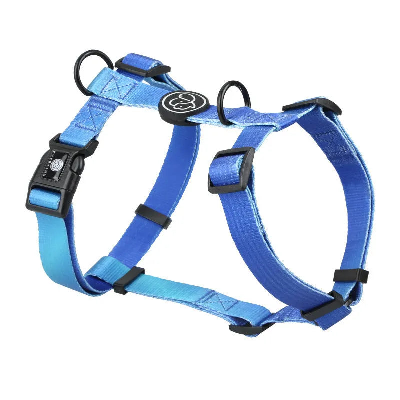 A gradient colour polyester dog harness shown in one of four colour options: purple, blue sea, neon, or green.
