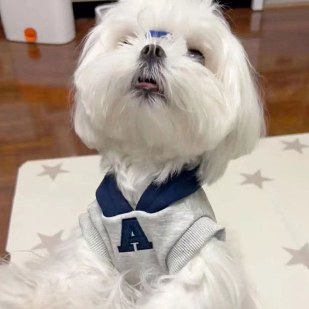 Blue and grey white slim-fitting pet sweater with reflective letters for dogs and cats