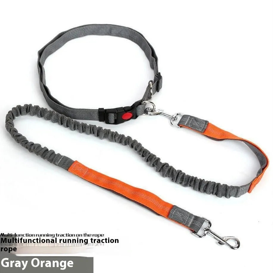 Grey and green two-tone reflective nylon dog leash showing 2.5cm width and clasp.