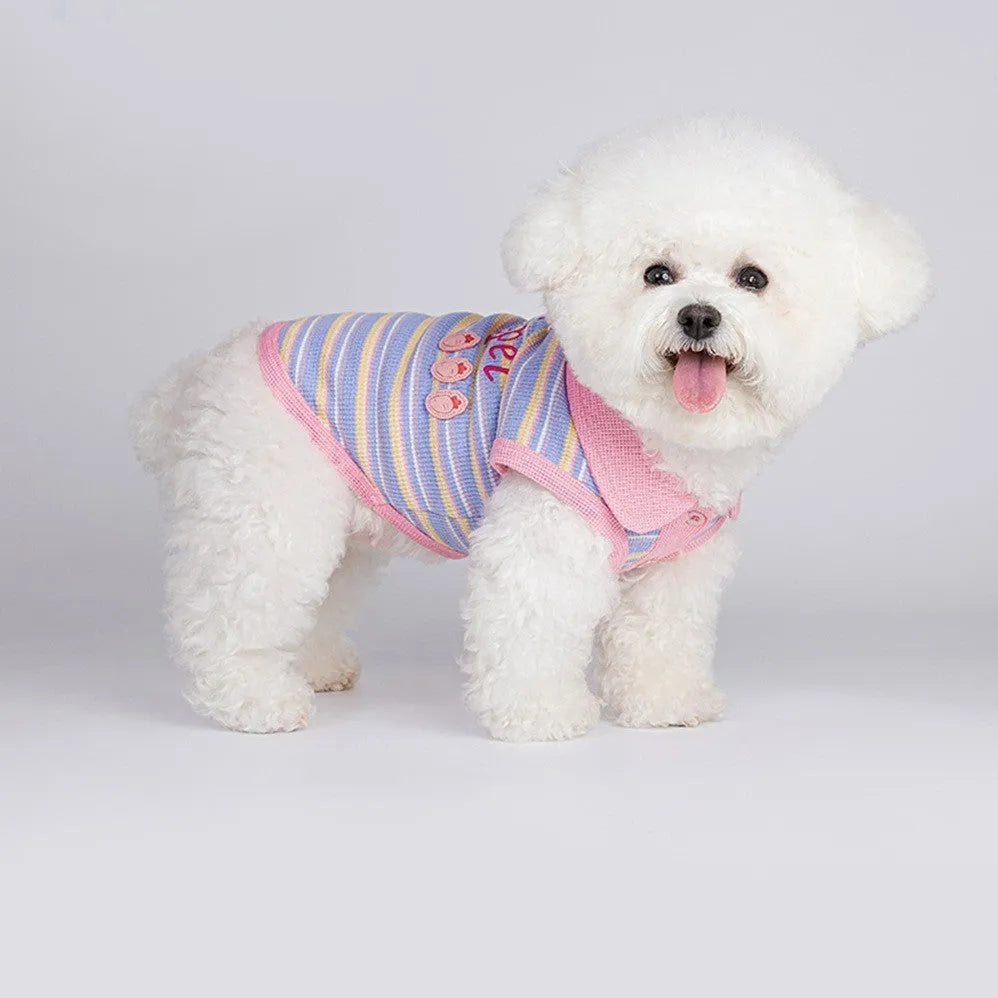 Pink purple vest for a small dog on a white background, showing the autumn clothing design.