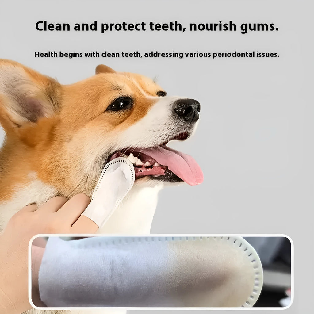 Pack of 50 non-woven fabric pet dental finger stalls for cleaning cat and dog teeth