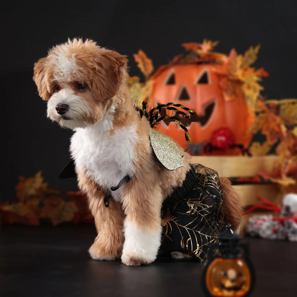 A dog wearing a simple solid-colour polyester costume for Halloween.