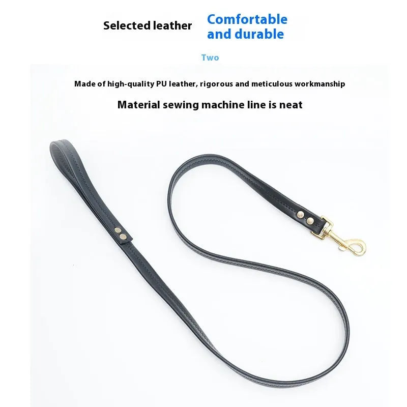 Black PU leather pet traction belt with chain ring fastener shown at 2 metre length
