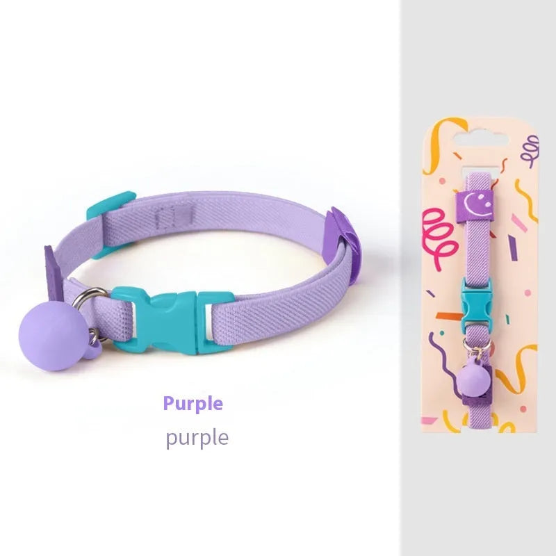 A high elasticity polyester pet collar for small dogs, shown in multiple solid colours on a white background.