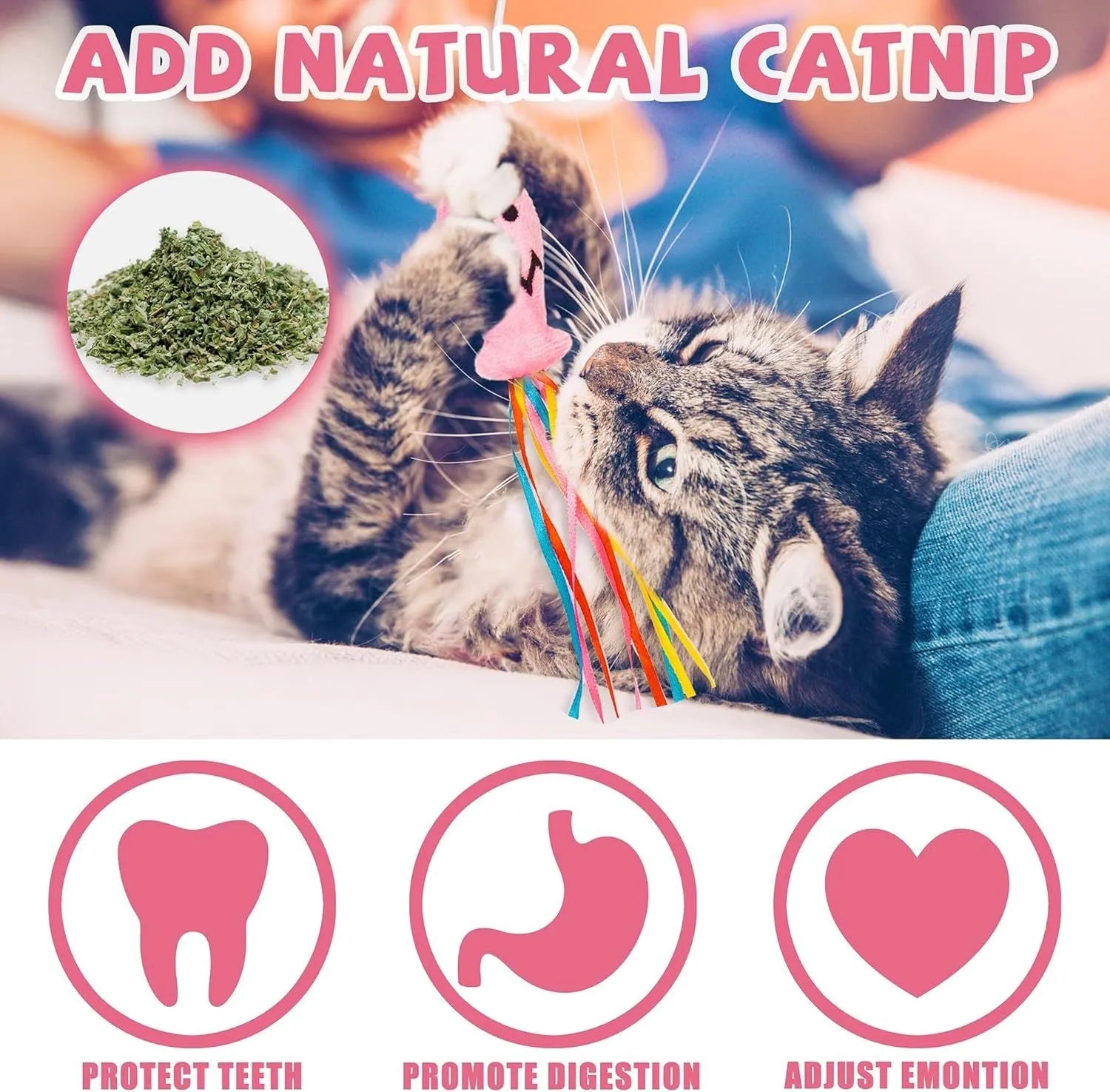 Cat wand toy with colourful ribbons, catnip fish, and bell on wooden handle
