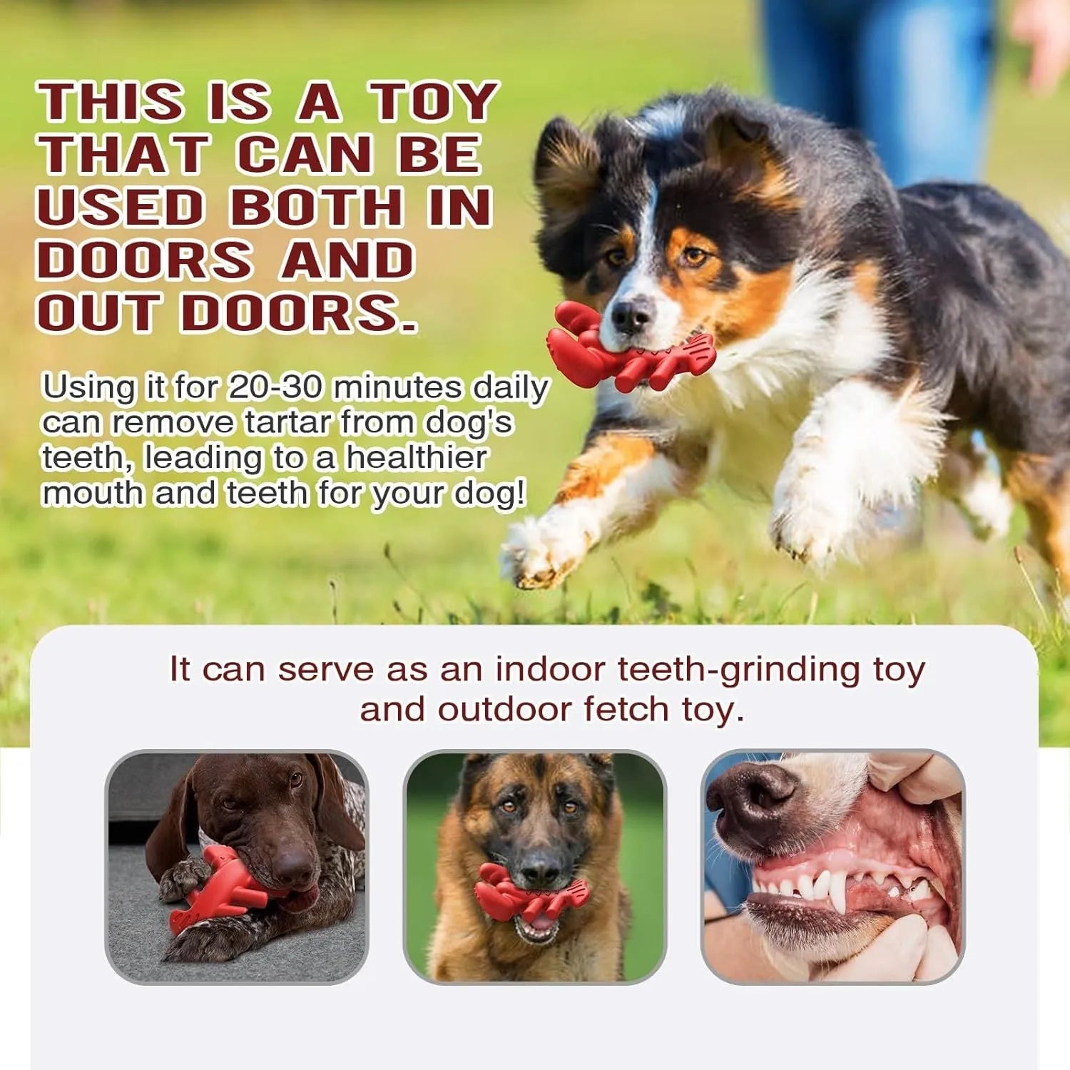 Large red nylon dog chew bone toy for aggressive chewing by big dogs.
