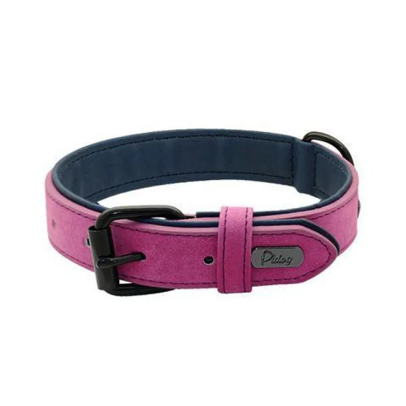 Adjustable anti-loss dog collar in five colour options with metal buckle and double-layer construction