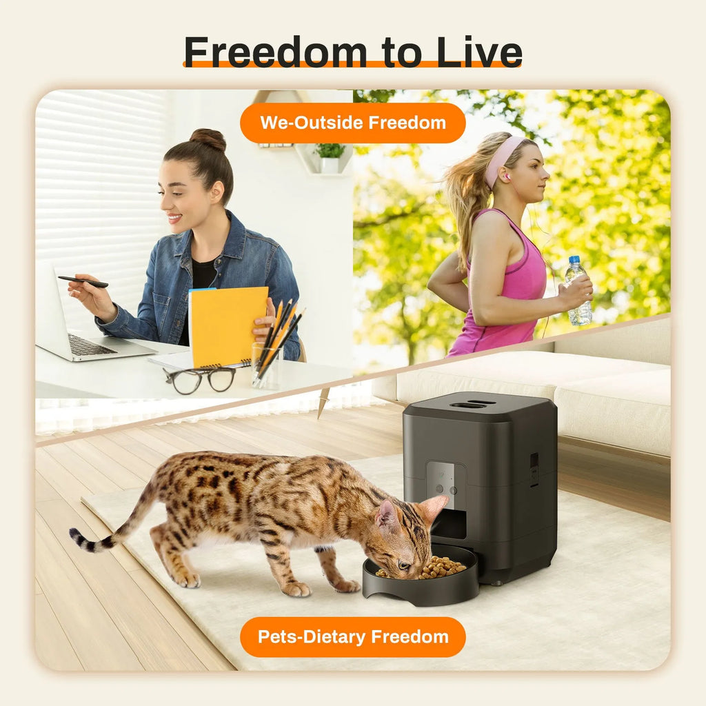 Automatic cat feeder with digital display and food storage compartment in white finish