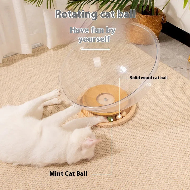 Transparent acrylic cat space capsule bathtub bed with turntable base on wooden floor