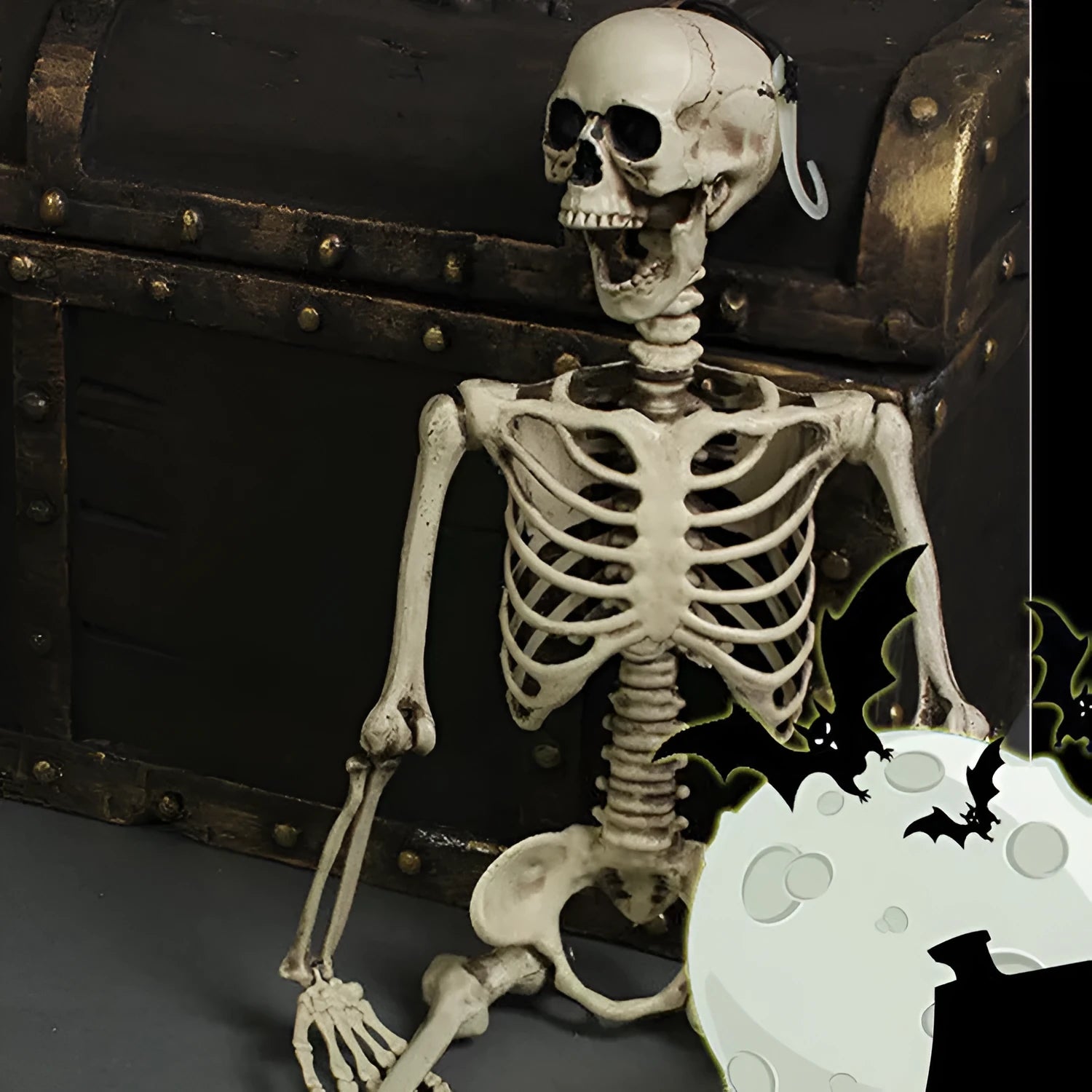 170cm tall plastic skeleton prop with detailed bone structure and movable jaw