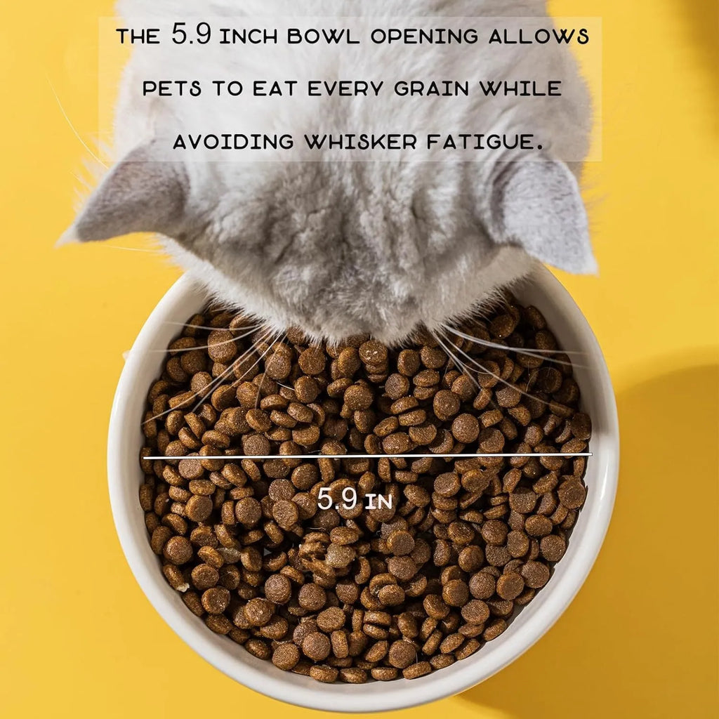 Raised ceramic cat bowl in animal design with wide opening for whisker-friendly feeding