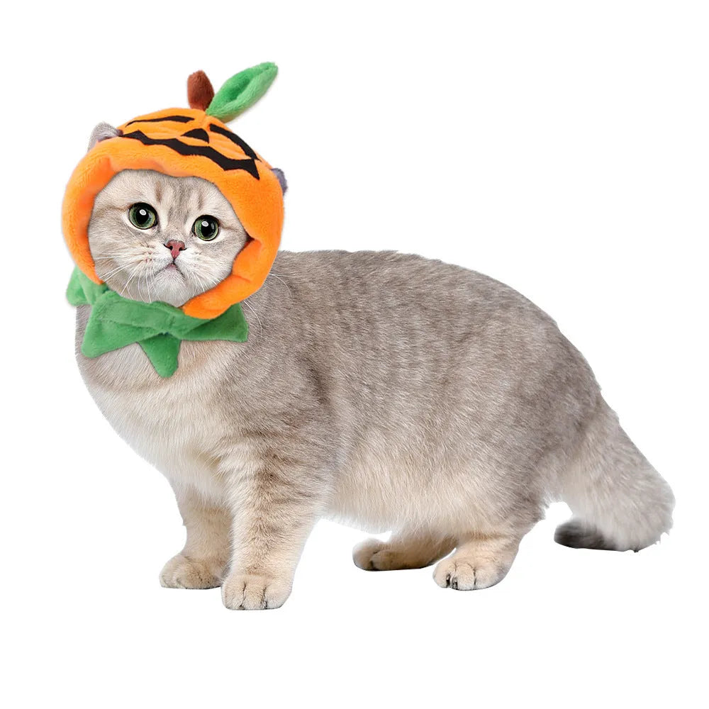 Orange plush pumpkin Halloween cloak for a dog or cat shown in size M.